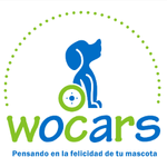 cliente wocars